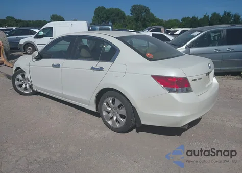2010 Honda Accord Exl из США, поврежденный, VIN 1HGCP3F89AA029355
